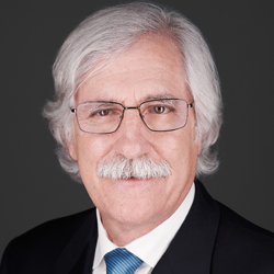 Peter Lande Senior Commercial Advisor